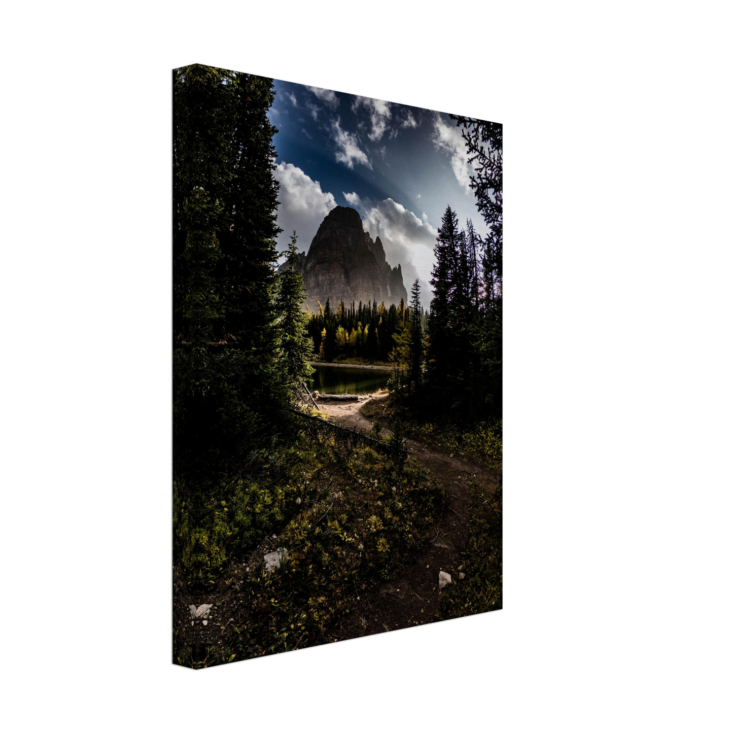 Canvas - Assiniboine